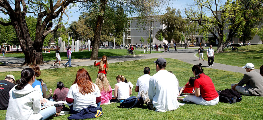 UC Davis Campus