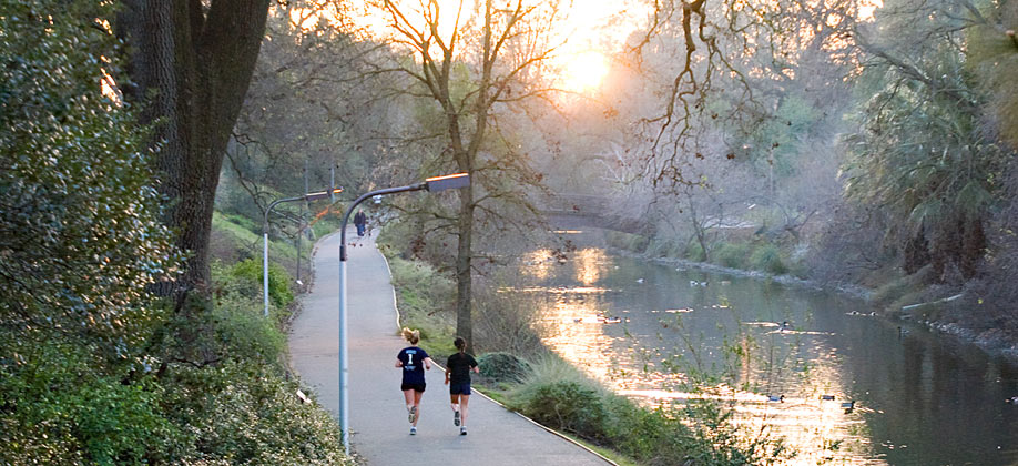 UC Davis Arboretum