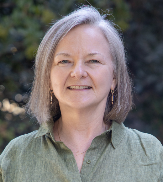 Professor Lisa R. Pruitt wearing a green blouse and smiling at the camera.