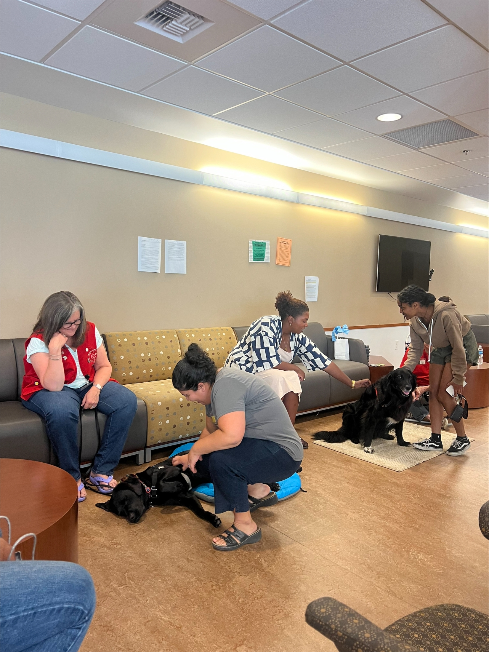 King Hall staff playing with puppies.