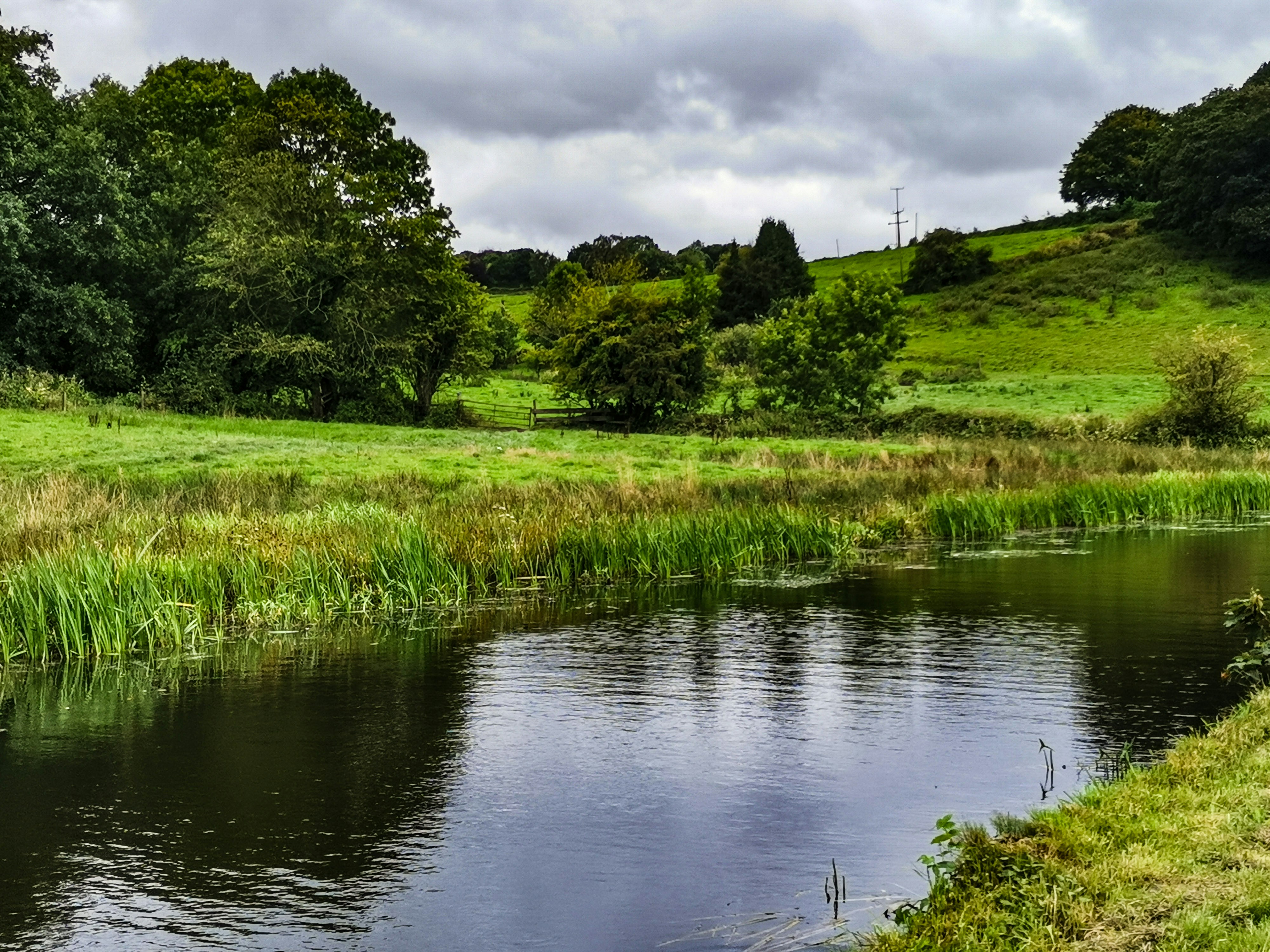 A scenic pond among greenery.