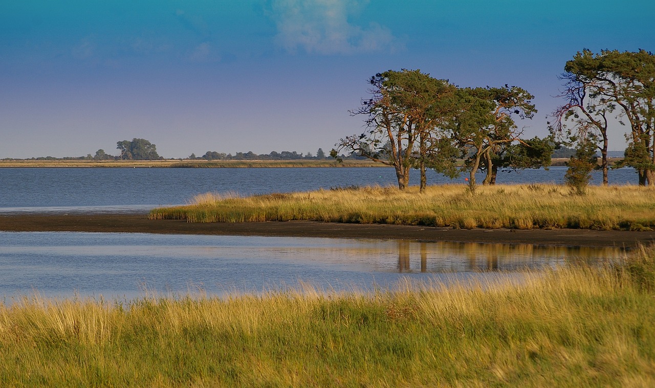 A nature reserve.