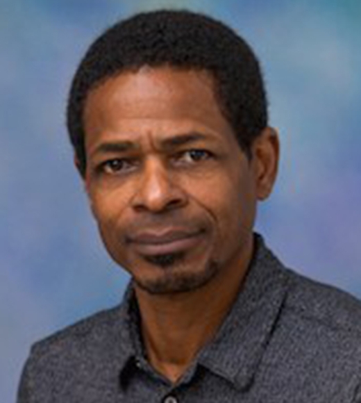 Bruce Haynes